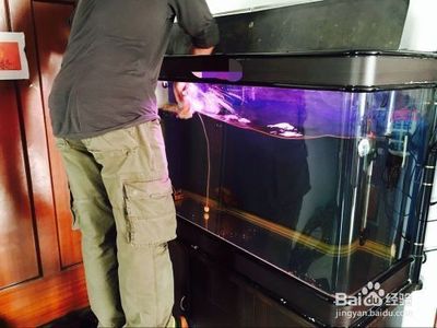 長沙縣泉塘街道浪漫滿屋鮮花店 小飾物的溫馨點綴