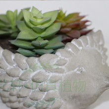 專業織物上光與護理的優質選擇 東莞市藝軒廠紡織品上光皂